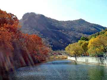 新澳天天开奖资料大全旅游团，穿越小说排行